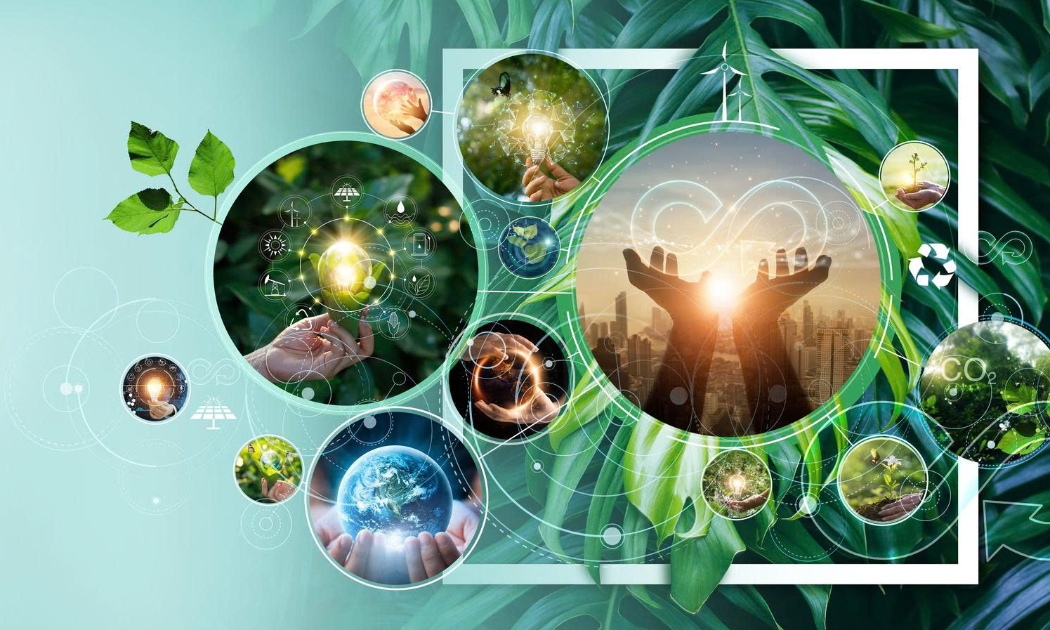 TP. Hồ Chí Minh đẩy mạnh sử dụng năng lượng tiết kiệm, hiệu quả