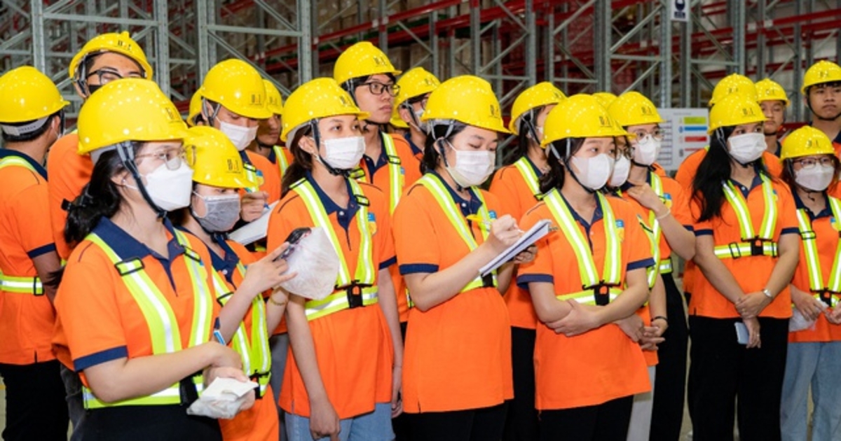 Thế hệ trẻ logistics định hình chuỗi cung ứng xanh trong kỷ nguyên AI