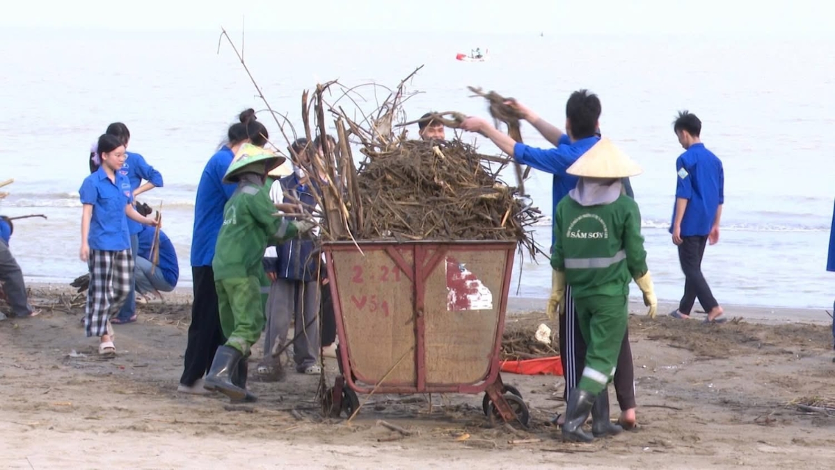 Rác ở bãi biển được thu gom.
