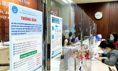 Ảnh minh họa.