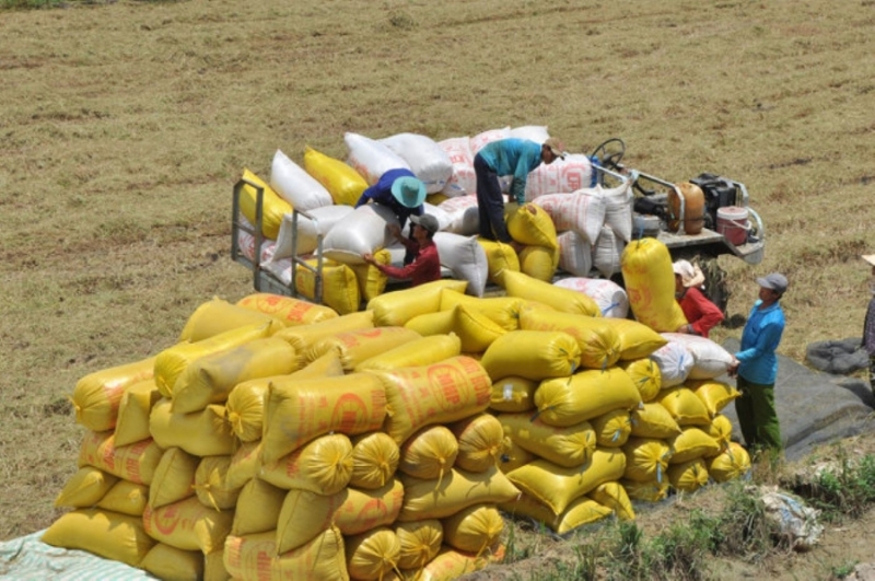 Vietnam exports 7 million tons of rice in 9M