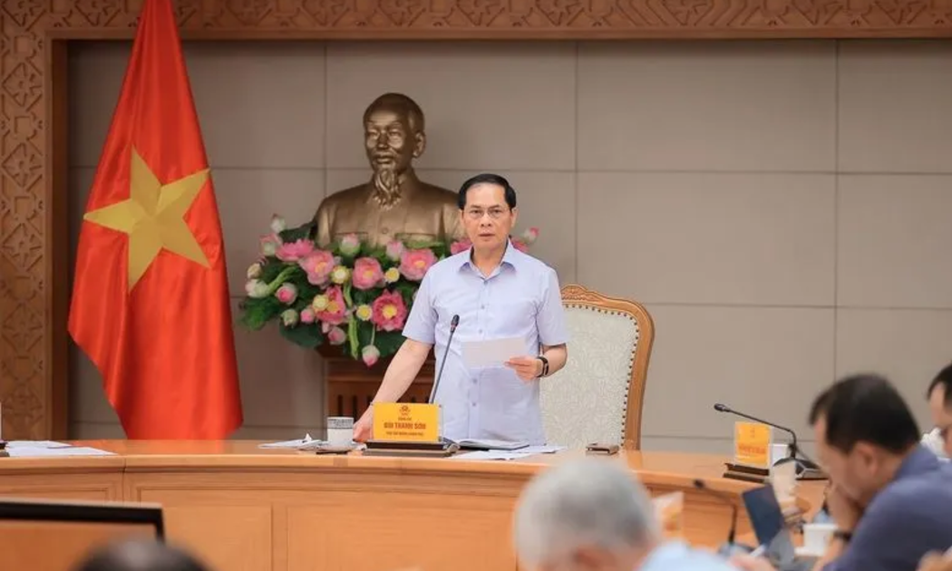 Phó Thủ tướng Chính phủ Bùi Thanh Sơn - Ảnh: VGP. 