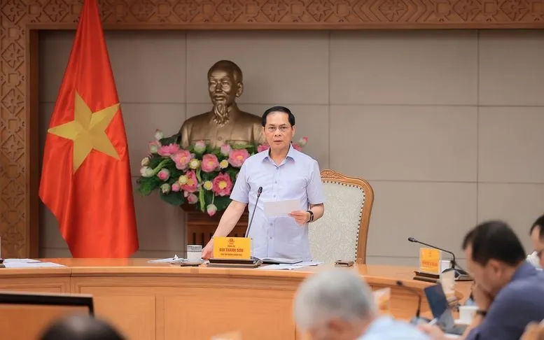 Phó Thủ tướng Chính phủ Bùi Thanh Sơn - Ảnh: VGP. 