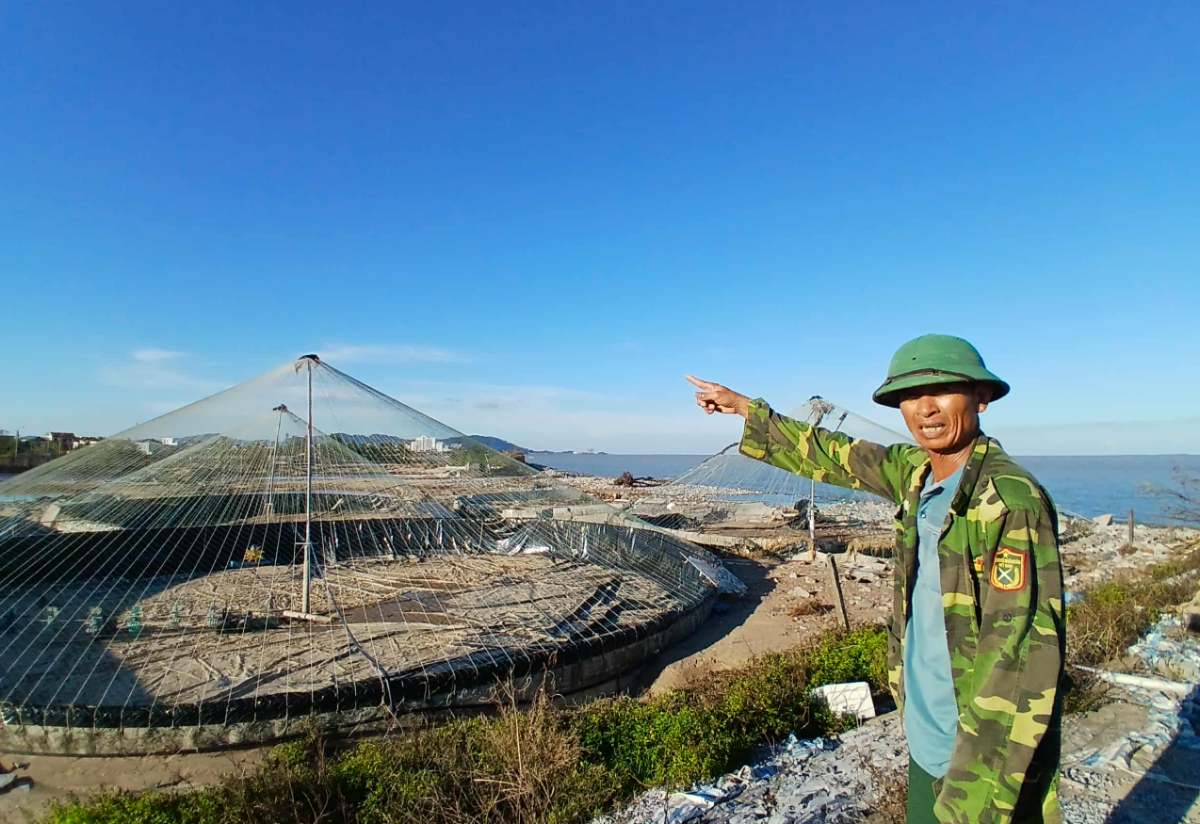 Ông Bùi Văn Quyết đứng bên khu ao nuôi 6 ha tan hoang, nơi từng có hơn 1 triệu con tôm giống vừa được thả trước bão.