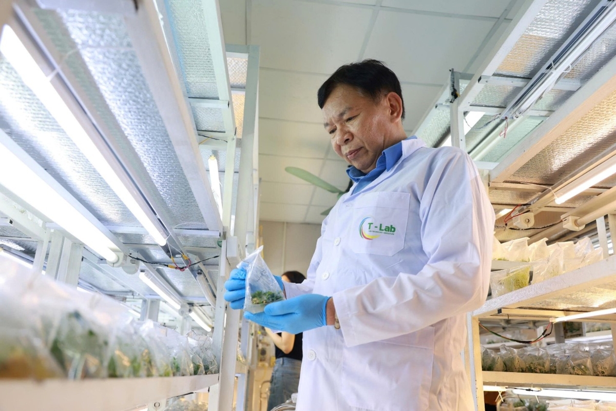 GS.TS Phạm Văn Hội, Viện Di truyền nông nghiệp được công nhận danh hiệu Nhà khoa học của nhà nông năm 2025.