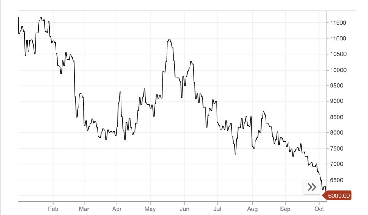 Diễn biến giá cacao từ đầu năm đến nay. Đơn vị: USD/tấn - Nguồn: CNBC.