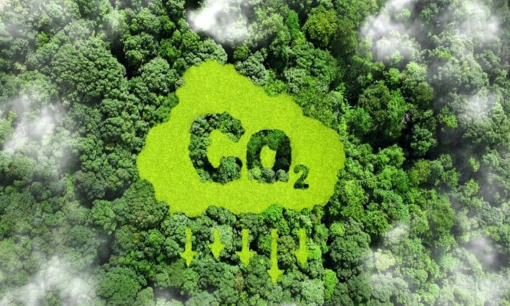 Việt Nam hiện đang hoàn thiện khung pháp lý cho thị trường carbon trong nước.