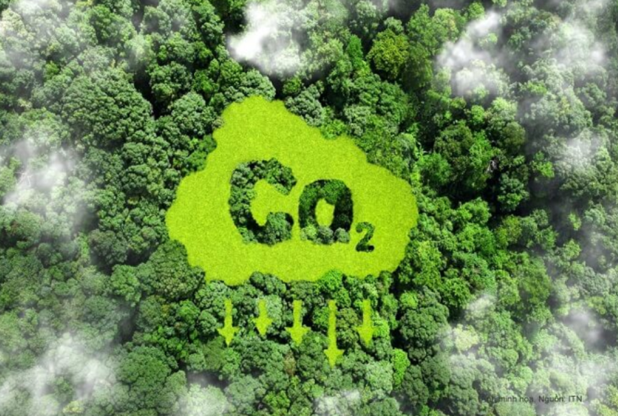 Việt Nam hiện đang hoàn thiện khung pháp lý cho thị trường carbon trong nước.