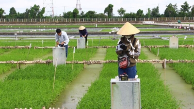 Thương hiệu Xanh