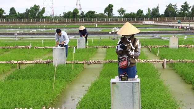 Thương hiệu Xanh