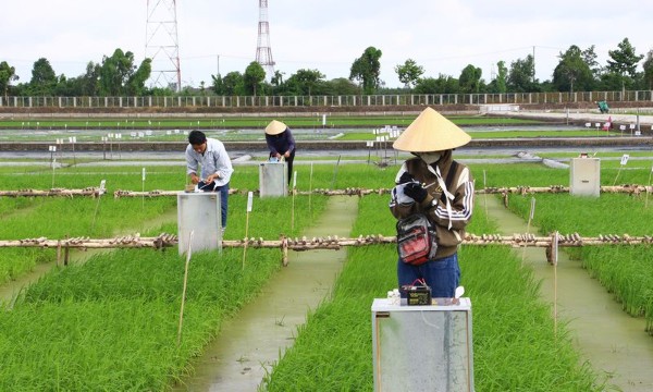Thương hiệu Xanh