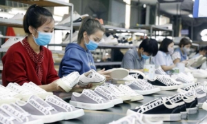 Tỷ lệ sử dụng giấy chứng nhận xuất xứ trong EVFTA có chiều hướng tăng dần