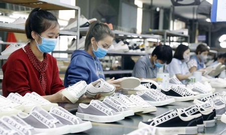 Tỷ lệ sử dụng giấy chứng nhận xuất xứ trong EVFTA có chiều hướng tăng dần