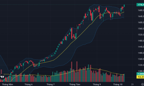 Cổ phiếu ngân hàng hỗ trợ, VN-Index “chắc chân” trên đỉnh 1700 điểm