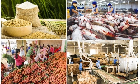 Nông lâm thuỷ sản là những ngành hàng mang tính chiến lược trong xuất khẩu và đảm bảo sinh kế cho hàng chục triệu nông dân.