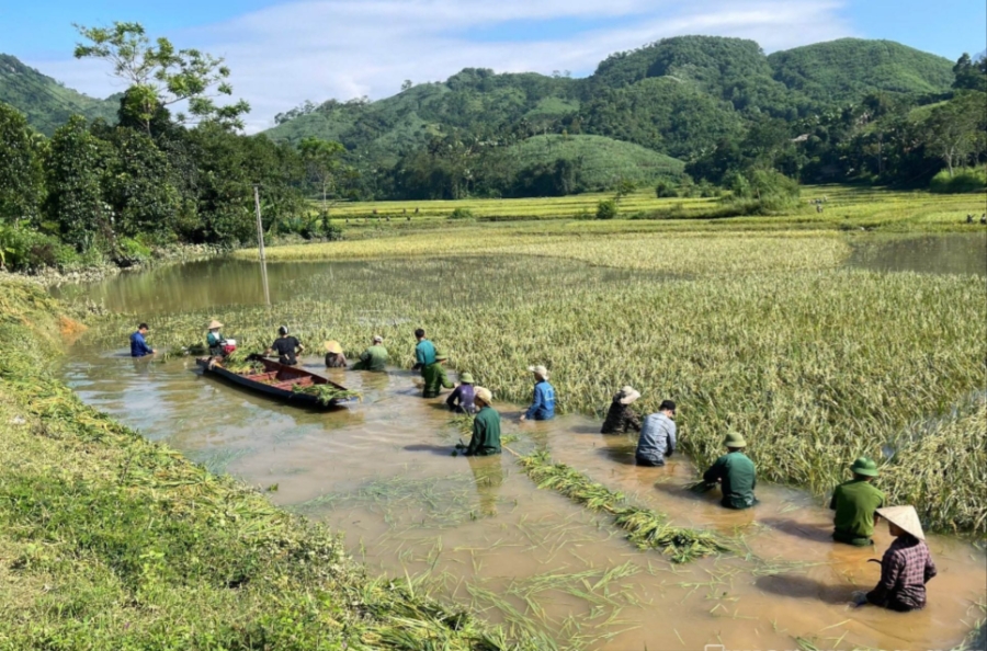Lực lượng công an, bộ đội hỗ trợ người dân sau mưa bão