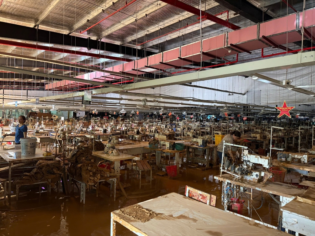 Các thiệt hại tập trung ở nhóm bảo hiểm Tài sản, công trình xây dựng và Xe cơ giới.