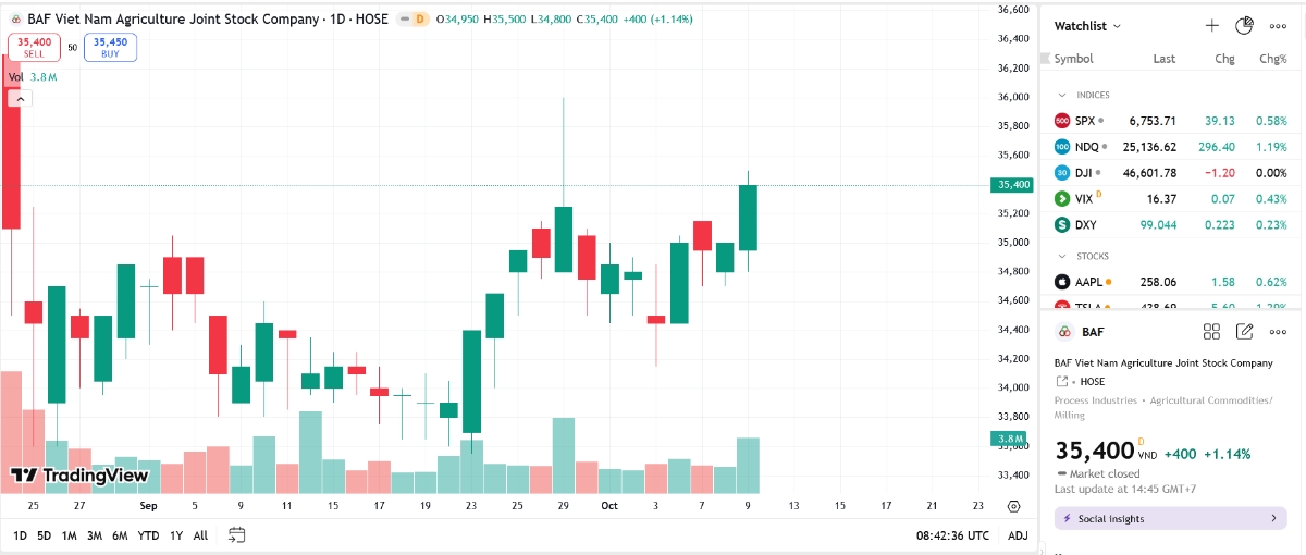 Sơ đồ giá cổ phiếu BAF trên TradingView.