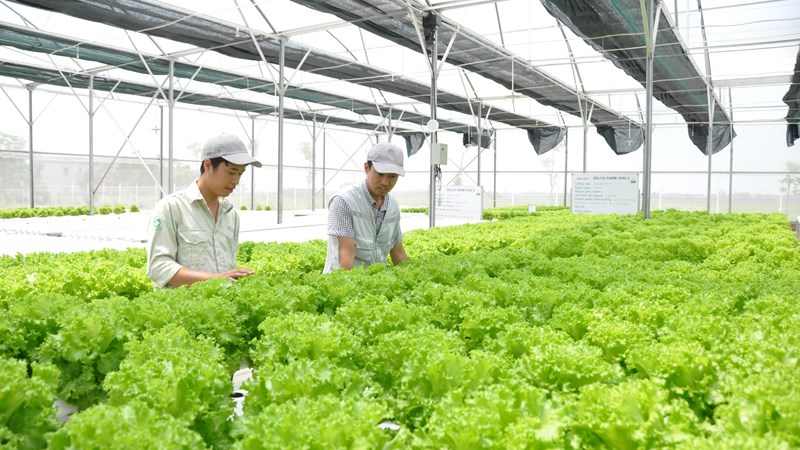 Một đô thị xanh không thể hình thành nếu người dân và doanh nghiệp không cùng thay đổi hành vi tiêu dùng