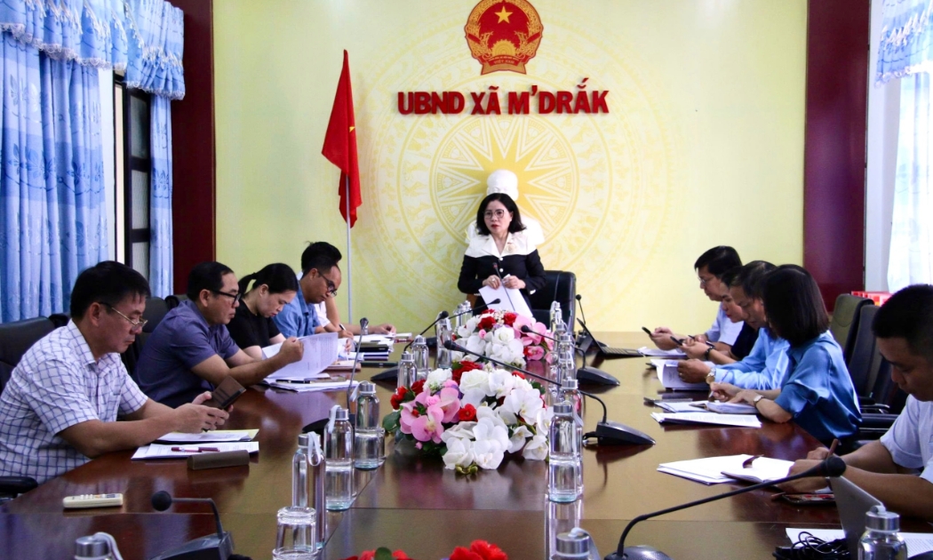 Phó Trưởng Đoàn chuyên trách, phụ trách Đoàn ĐBQH tỉnh Đắk Lắk Nguyễn Thị Thu Nguyệt phát biểu tại buổi làm việc.