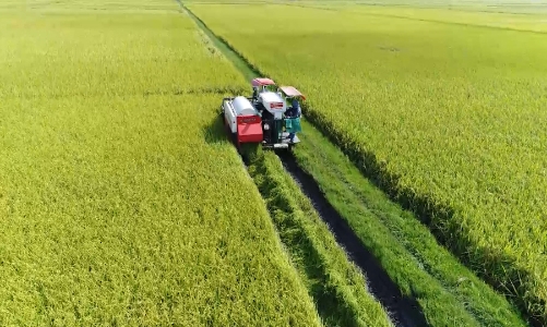 Hà Tĩnh trên hành trình xây dựng, phát triển nền nông nghiệp xanh, hiện đại