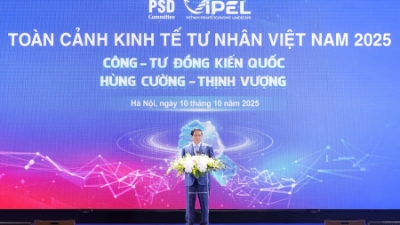 PM attends plenary session of Vietnam Private Economic Landscape Program 2025