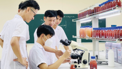 Green economy needs green skills
