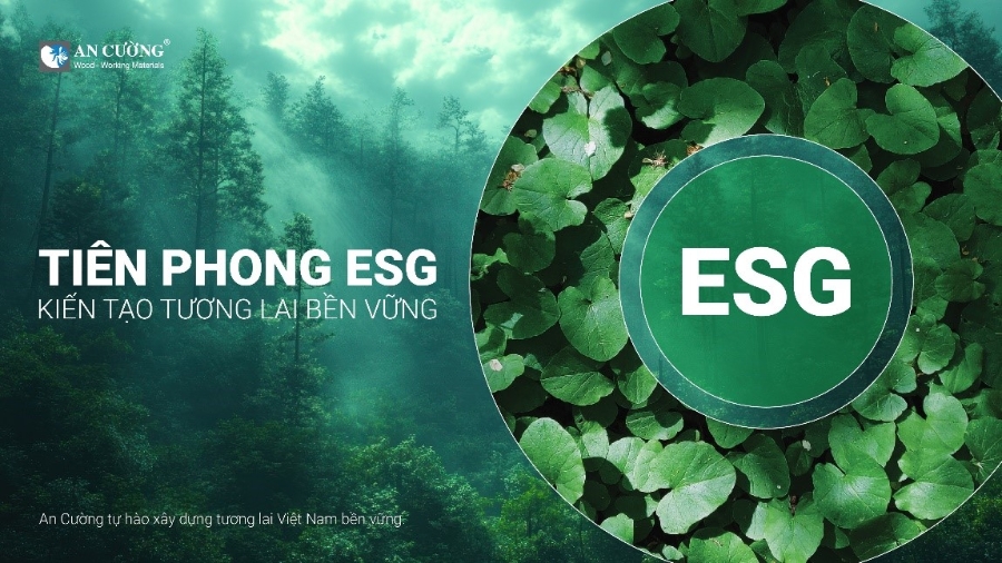 An Cường tiên phong Kiến tạo tương lai bền vững - Ảnh: Gỗ An Cường.