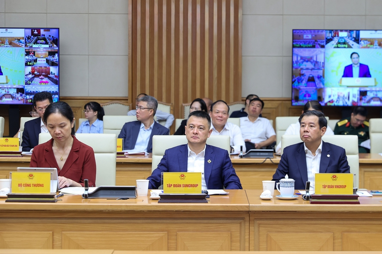 Các đại biểu tham dự cuộc họp - Ảnh: VGP