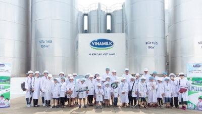 More rooms for dairy industry development
