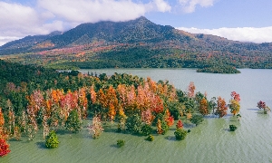 Khai phá du lịch sinh thái ở Khe Sanh