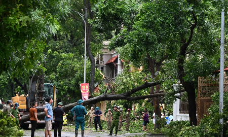 Đơn vị thực hiện dịch vụ về quản lý cây xanh, người gây thiệt hại không phải chịu trách nhiệm bồi thường thiệt hại trong trường hợp cây bị gãy, đổ do sự kiện bất khả kháng.