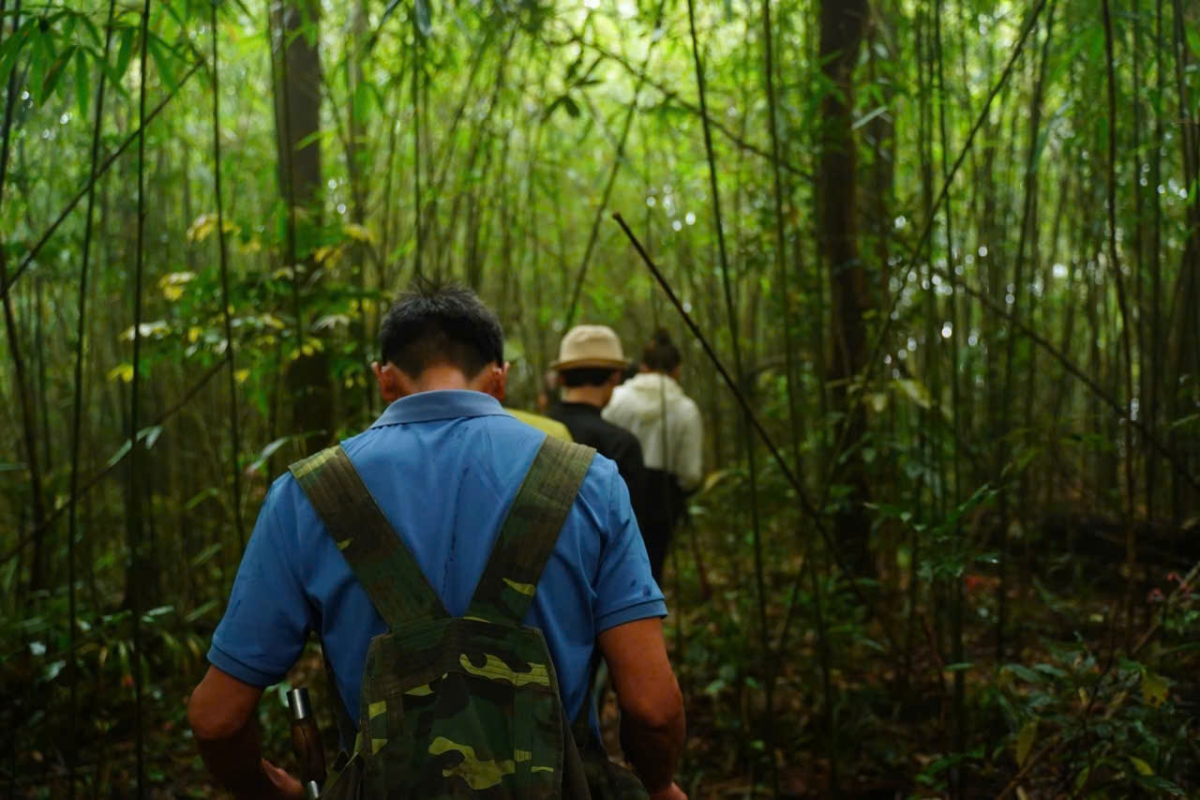Tuyến Trekking xuyên rừng.