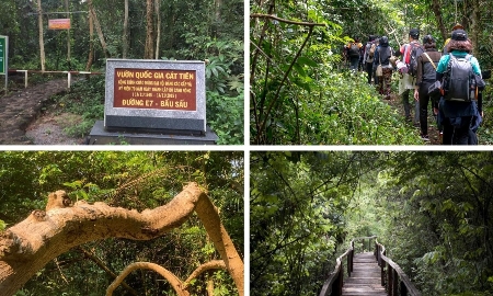 Mỗi năm, Vườn Quốc gia Cát Tiên đón hàng trăm ngàn lượt khách đến tham quan, nghiên cứu và học tập, trong đó có hàng ngàn khách quốc tế.