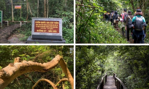 Vườn quốc gia Cát Tiên là đơn vị duy nhất Việt Nam được trao giải Du lịch sinh thái Châu Á