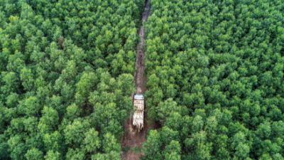 Luật Bảo vệ môi trường