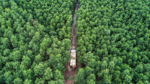 Luật Bảo vệ môi trường