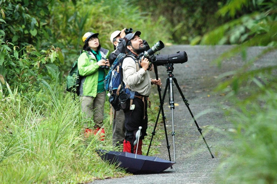 Tour du lịch sinh thái ngắm chim hoang dã tại Việt Nam được du khách quốc tế ưa thích.