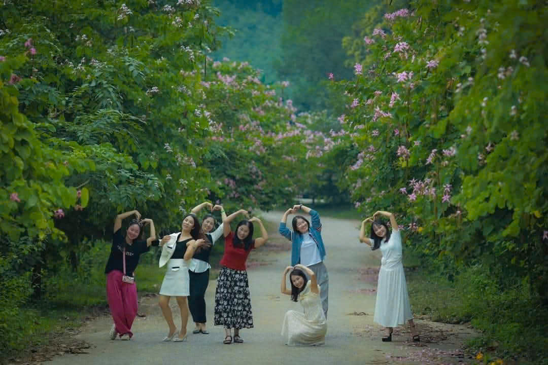 Xuân Liên mùa hoa nở.