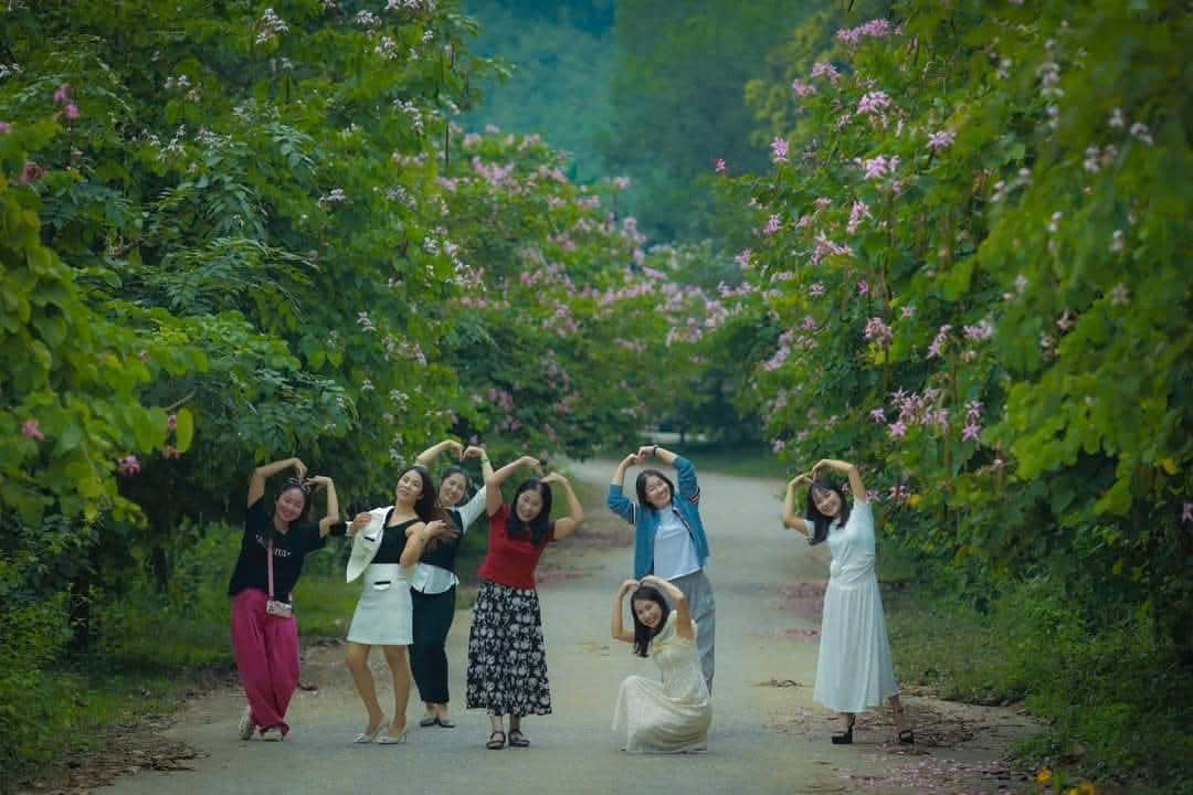 Xuân Liên mùa hoa nở.