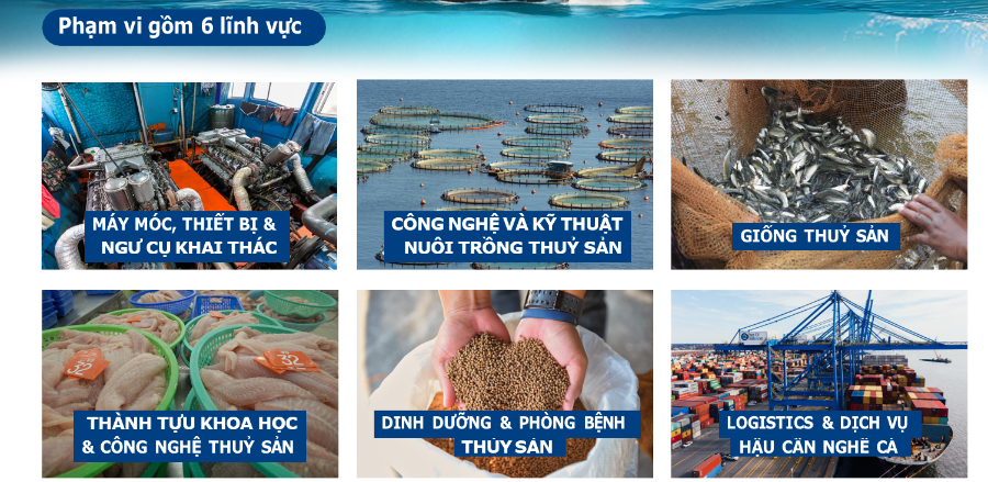 6 lĩnh vực chủ đề trưng bày của VINAFIS EXPO 2026. 