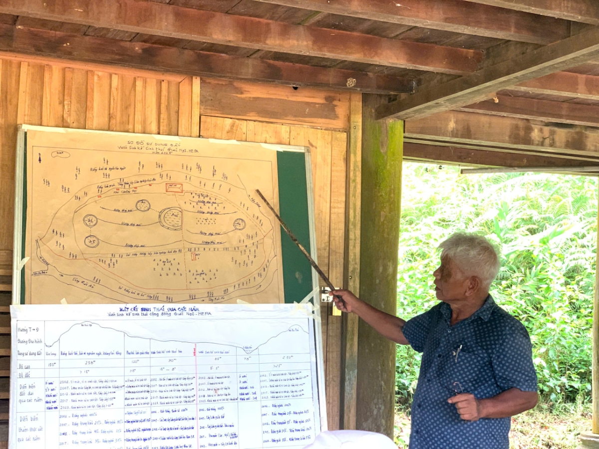 Giới thiệu địa đồ và hệ sinh thái rừng HEPA. Ảnh: Chu Khôi.