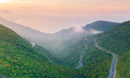 Gìn giữ “lá phổi xanh” Bắc Hải Vân