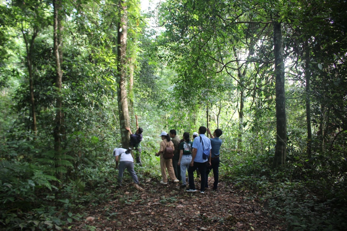 Trong rừng HEPA ở đầu nguồn sồng Ngàn Phố (Hà Tĩnh). Ảnh: Chu Khôi.