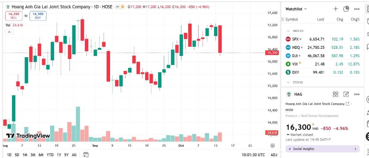 HAG chuyển đổi 300 tỷ đồng nợ thành vốn góp tại Hưng Thắng Lợi Gia Lai