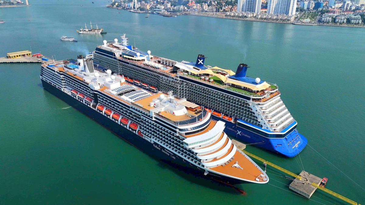 Hạ Long trở thành điểm đến thường xuyên của các hãng tàu biển.