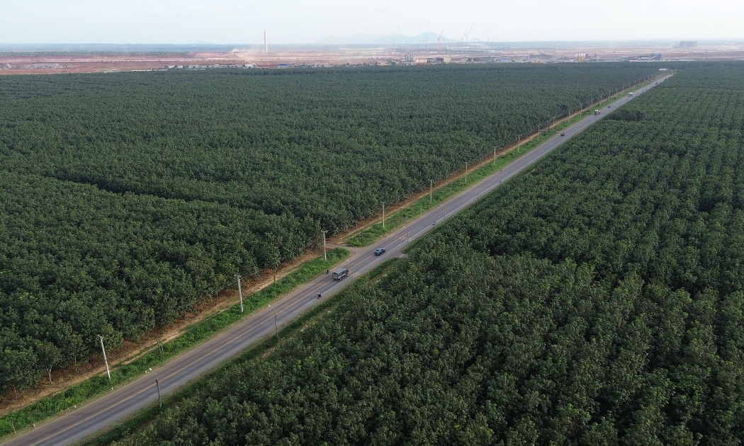 Việc đầu tư nâng cấp, mở rộng tỉnh lộ 769 dài gần 30 km giúp kết nối, rút ngắn thời gian di chuyển từ các tỉnh vùng Tây Nguyên và Nam Trung Bộ đến sân bay Long Thành. Ảnh: Lê Lâm