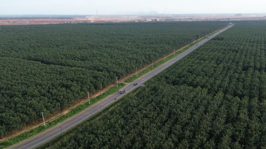 Việc đầu tư nâng cấp, mở rộng tỉnh lộ 769 dài gần 30 km giúp kết nối, rút ngắn thời gian di chuyển từ các tỉnh vùng Tây Nguyên và Nam Trung Bộ đến sân bay Long Thành. Ảnh: Lê Lâm