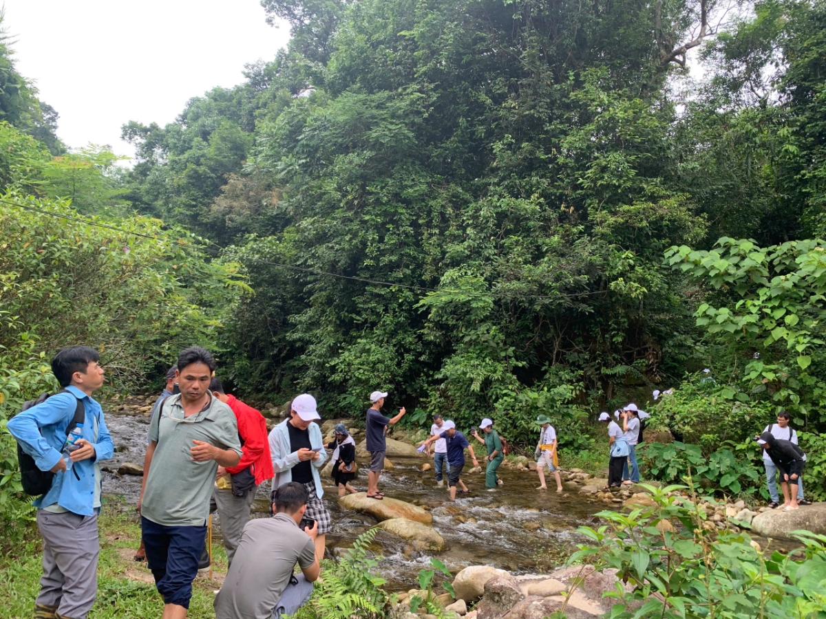 Rừng HEPA không chỉ giàu tính đa dạng sinh học, mà còn có nhiều con suối trong vắt. Ảnh: Chu Khôi.