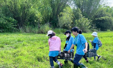 Tiếp nhận và thả động vật hoang dã về với tự nhiên.